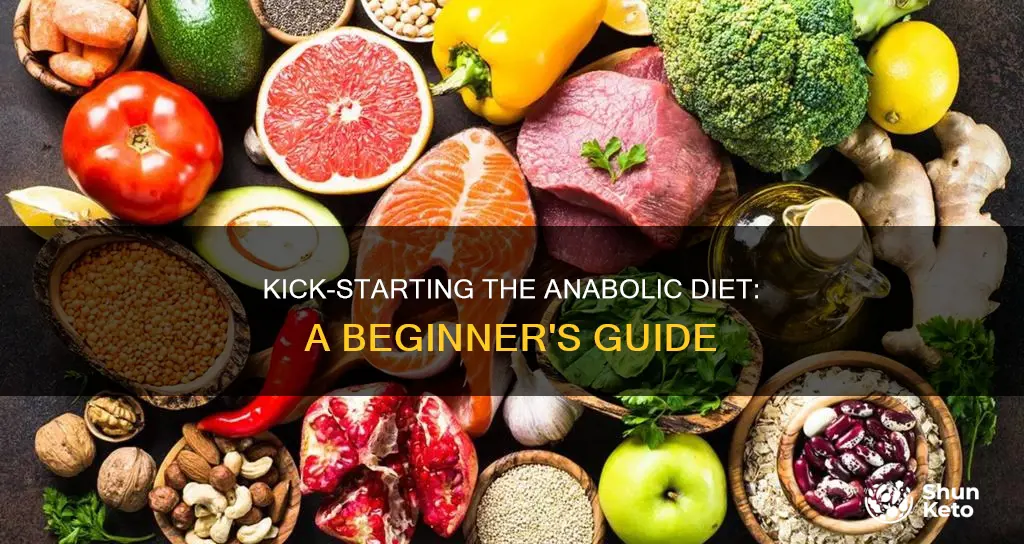 how to start the anabolic diet