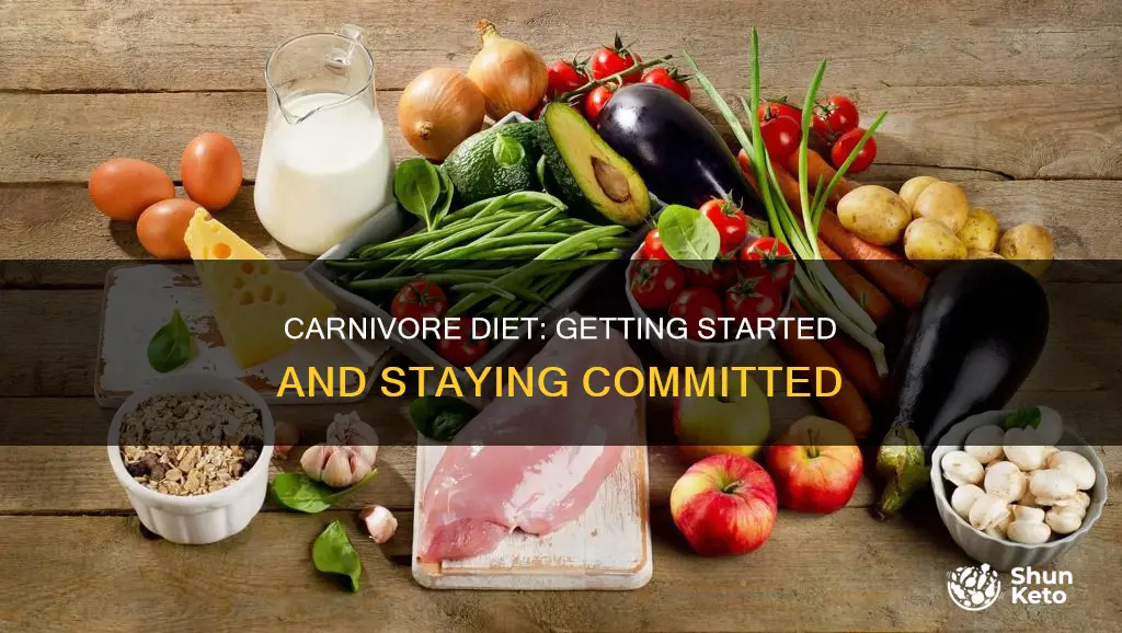 how to start the carnivore diet