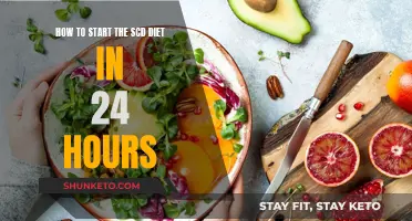 Starting the SCD Diet: Your First 24 Hours