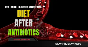 Starting the Specific Carb Diet Post-Antibiotics