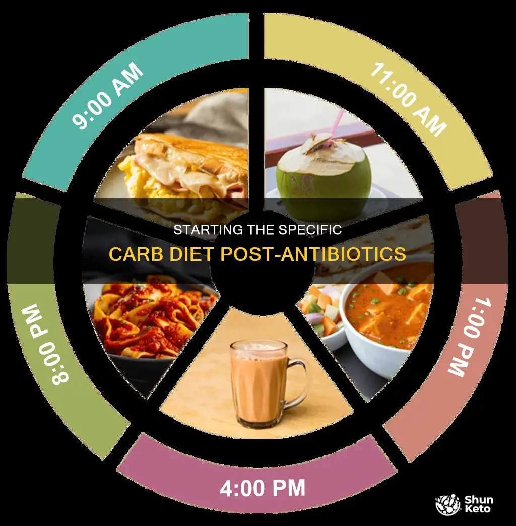 how to start the specific carbohydrate diet after antibiotics