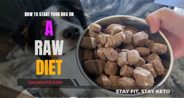 Transitioning Your Dog to Raw: A Beginner's Guide