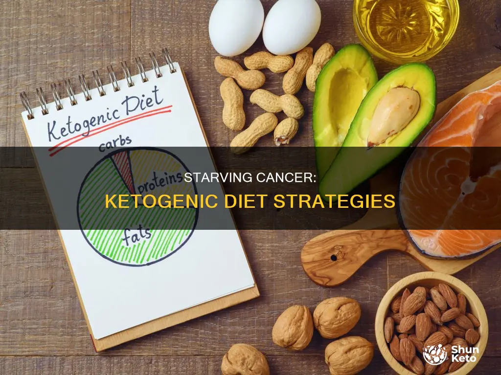 how to starving cancer with ketogenic diet