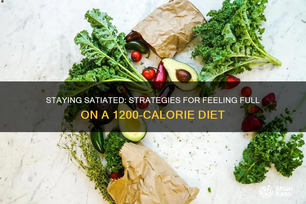 how to stay full on a 1200 calorie diet
