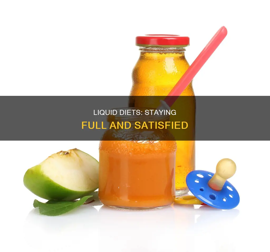 how to stay full on a liquid diet