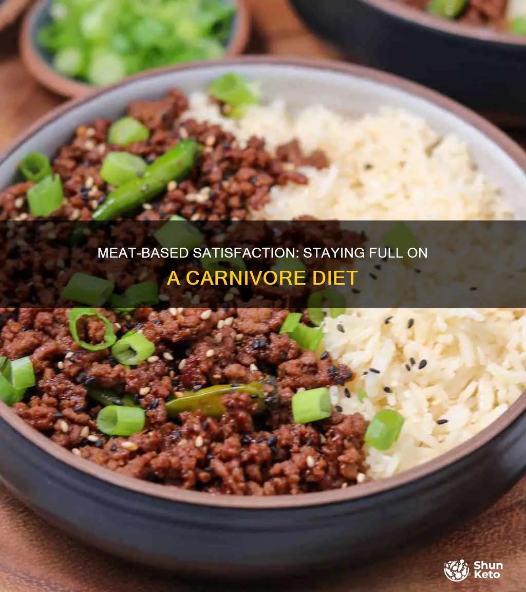 how to stay full on carnivore diet