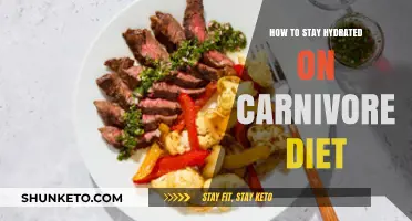 Staying Hydrated: Carnivore Diet Tips