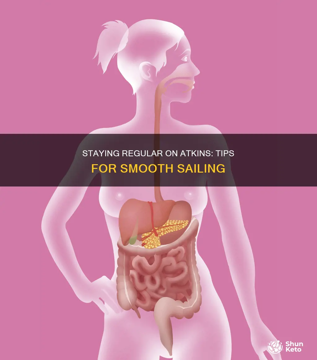 how to stay regular on atkins diet