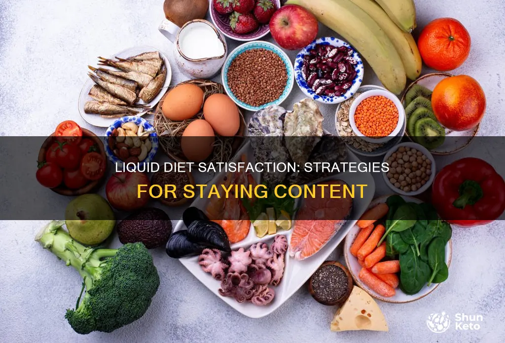 how to stay satisfied on a full liquid diet