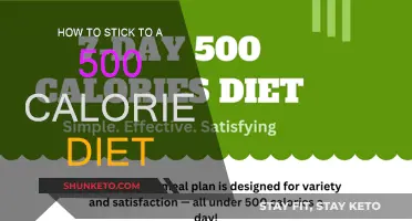 Calorie-Counting: Sticking to a Strict 500-Calorie Diet Plan