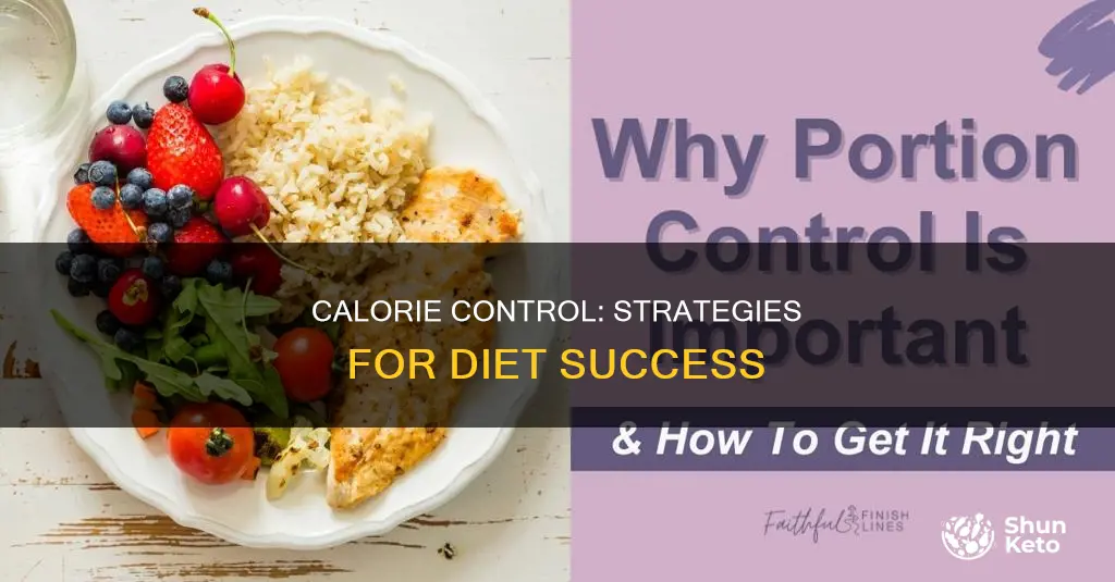 how to stick to a calorie controlled diet