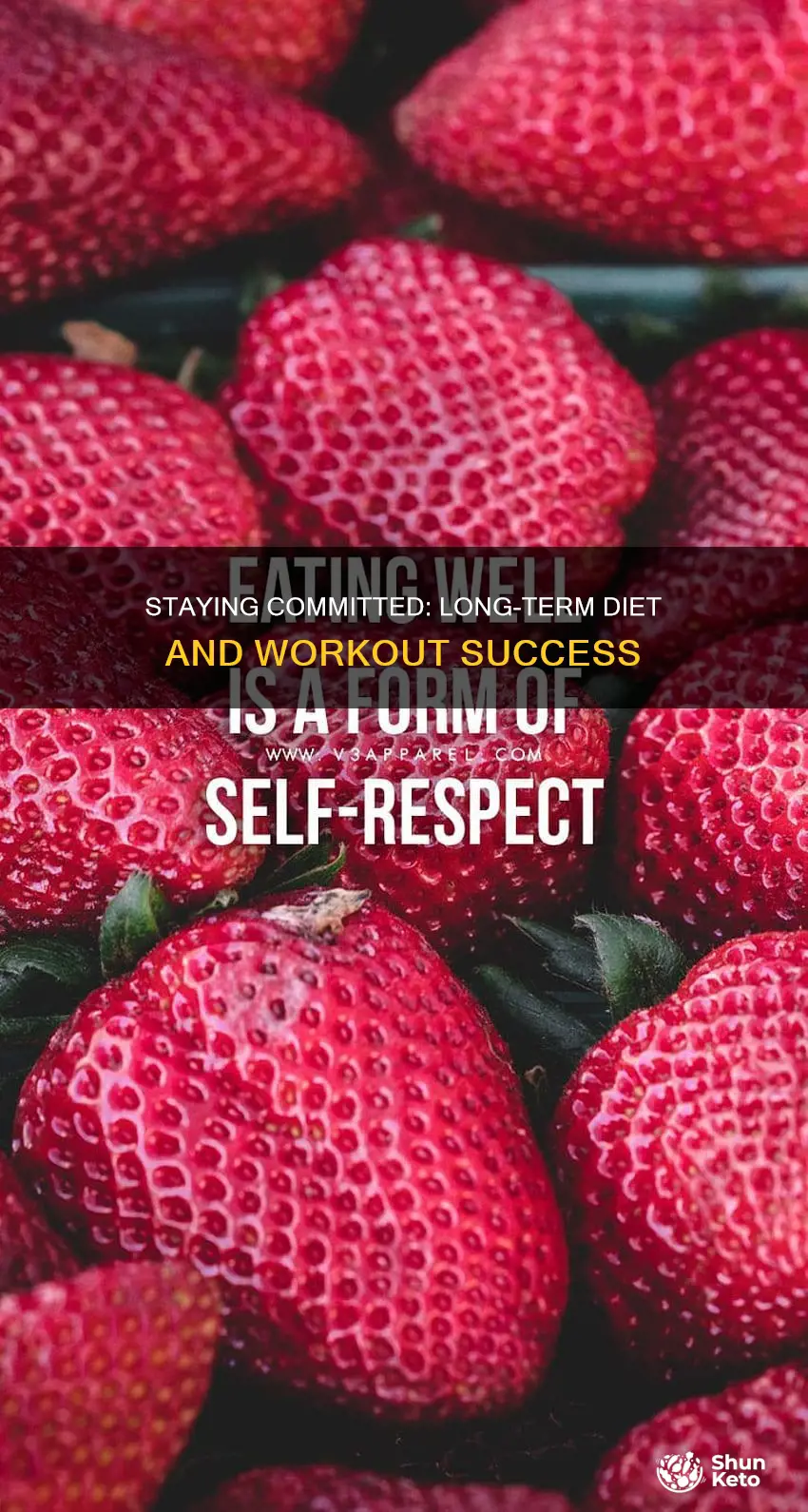how to stick to a diet workout goal long term