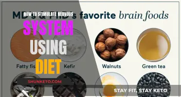Stimulating the Nervous System: Dietary Strategies for Brain Health
