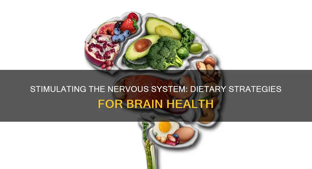 how to stimulate nervous system using diet