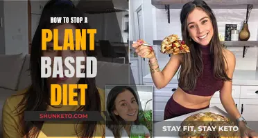 Plant-Based Diet: Strategies for Success and Sustainable Habits