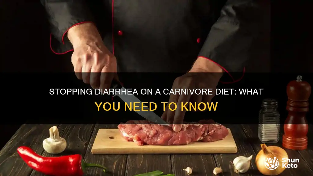 how to stop diarrhea on carnivore diet
