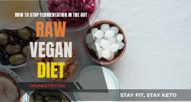 Fermentation in the Gut: Raw Vegan Diet Solutions