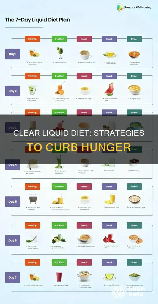 how to stop hunger on clear liquid diet