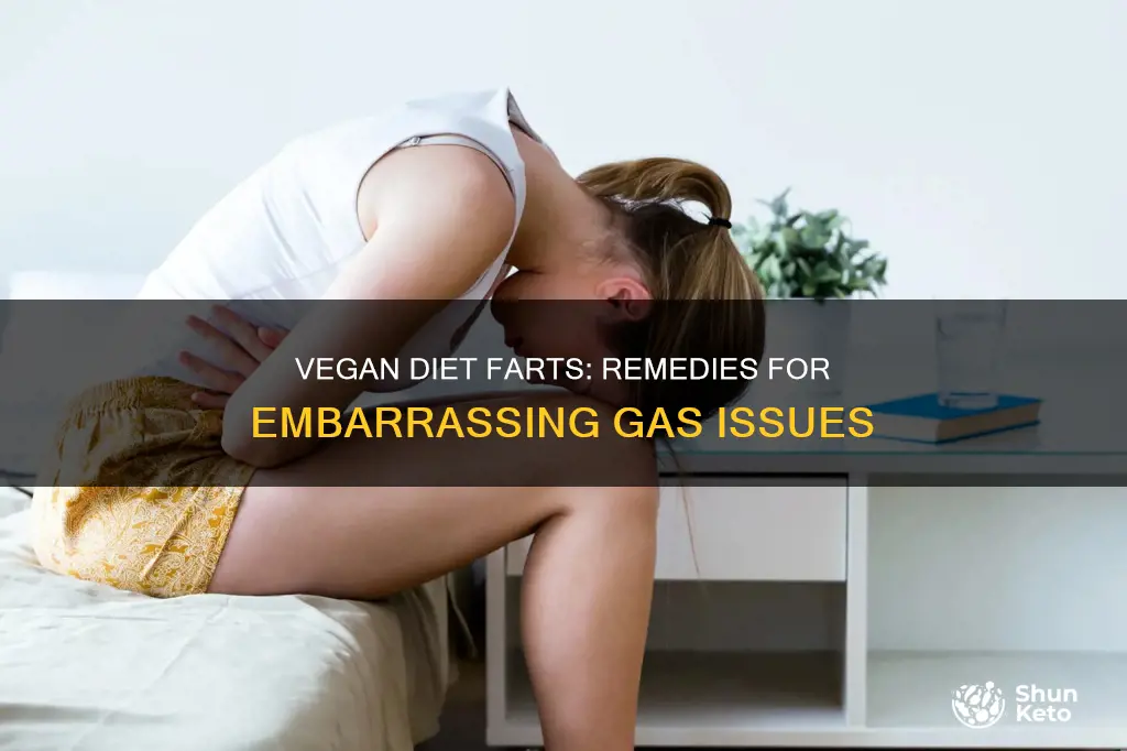 how to stop nasty farts from vegan diet