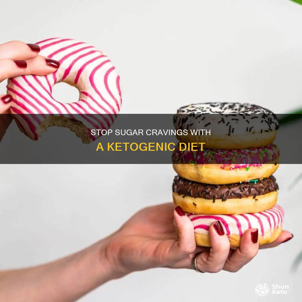 how to stop sugar cravings ketogenic diet resource