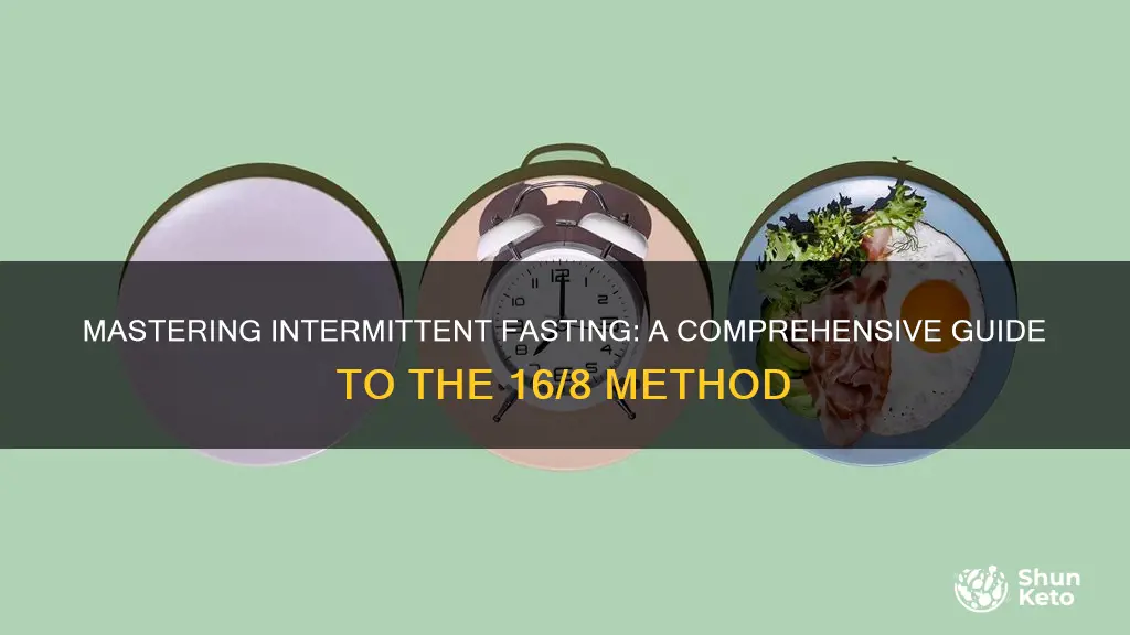 how to structure intermittent fasting diet 16 plan