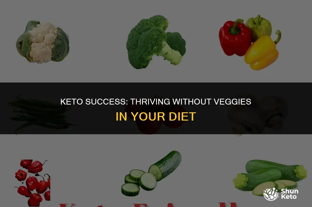 how to succeed on keto without veggies
