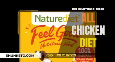 Supplementing Dogs on an All-Chicken Diet: What You Need