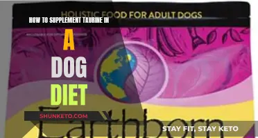 Supplementing Taurine in Dog Diets: What You Need to Know