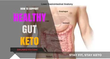 Nourishing Your Gut: A Keto Approach to Optimal Digestive Health