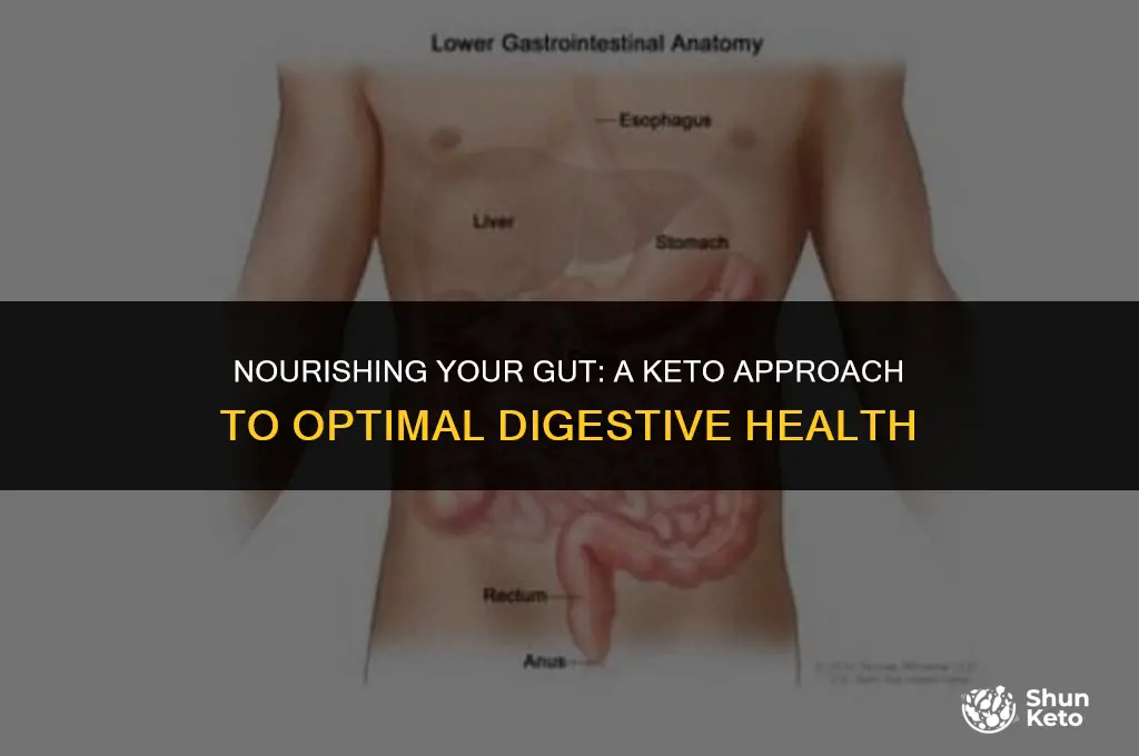 how to support healthy gut keto