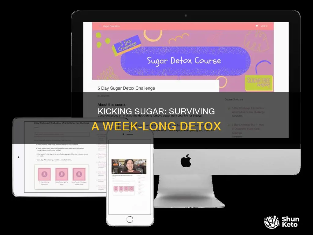 how to survive 7 days without sugar diet