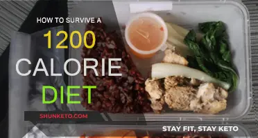 Surviving a Low-Calorie Diet: Strategies for Success