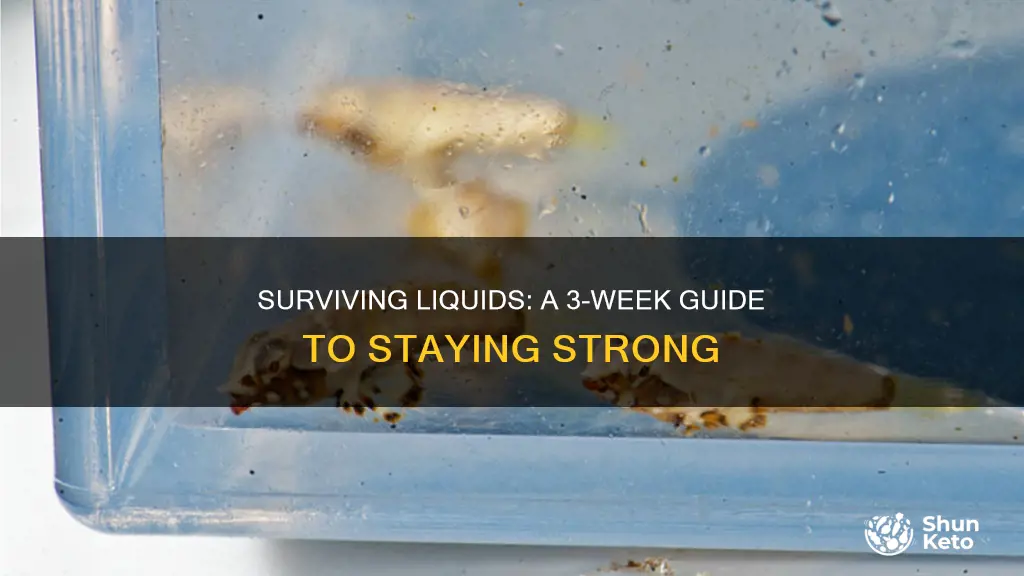 how to survive a liquid diet for 3 weeks
