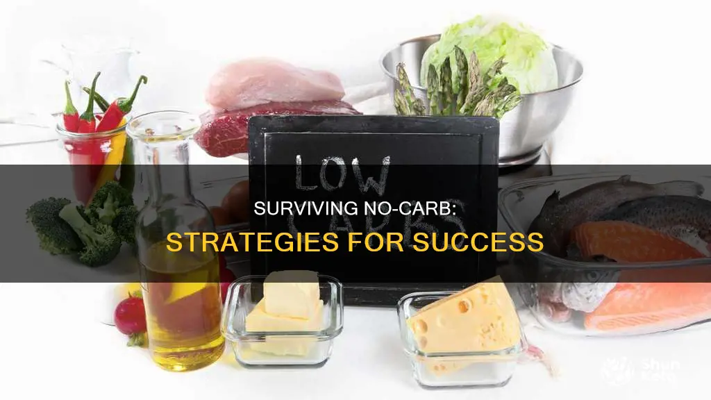 how to survive a no carb diet