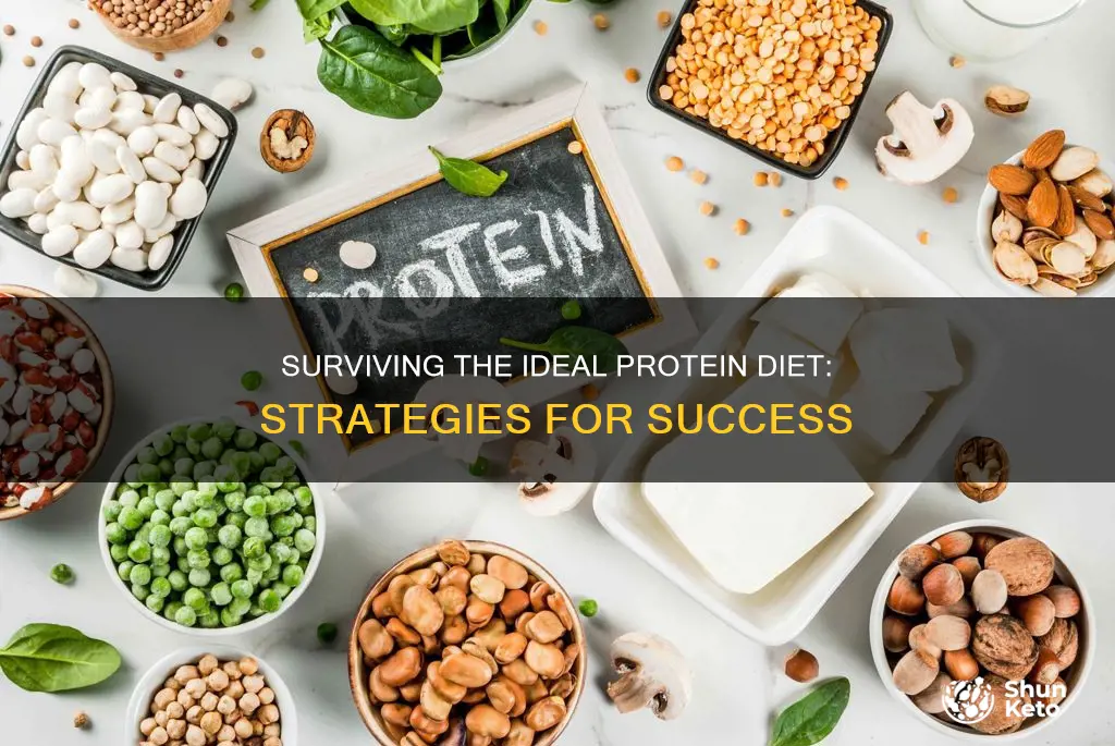 how to survive ideal protein diet
