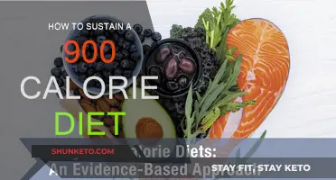 Sustaining a 900-Calorie Diet: Strategies for Success
