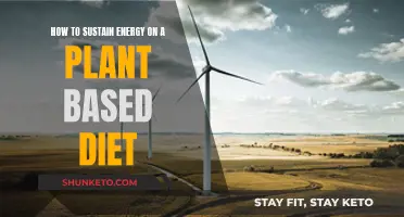 Sustaining Energy on a Plant-Based Diet: Tips and Tricks