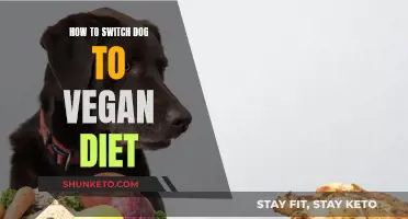 Vegan Diet for Dogs: Making the Switch Safely