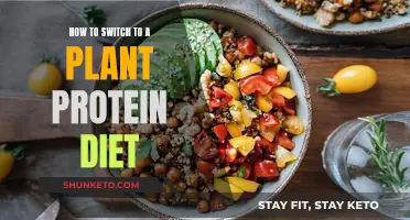 Plant-Based Protein Diet: Making the Switch