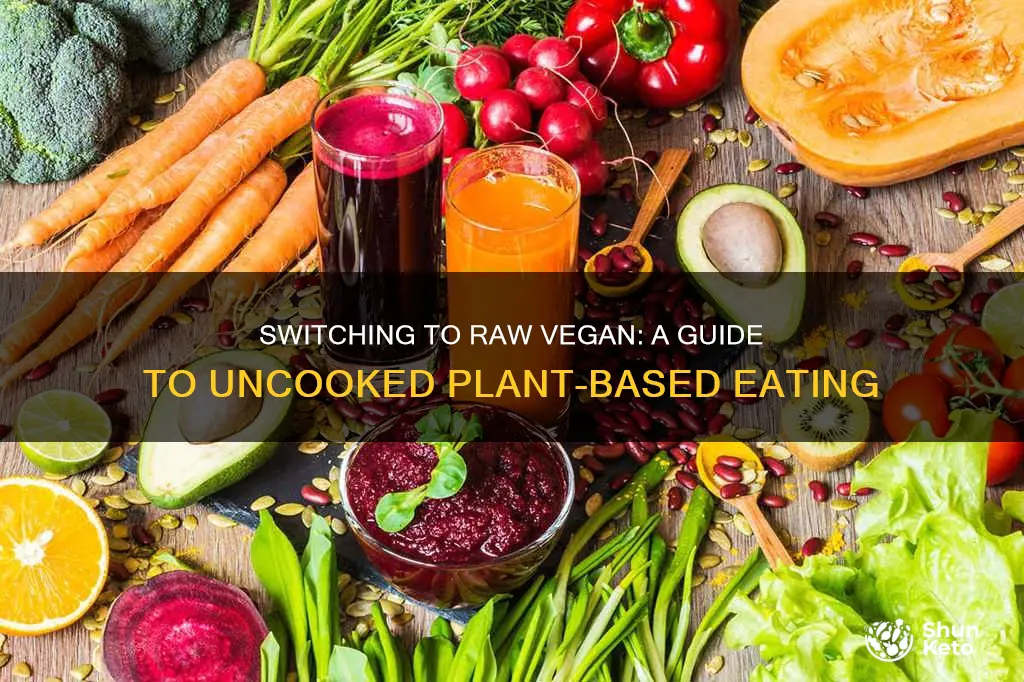 how to switch to a raw vegan diet