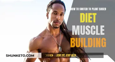 Plant-Based Muscle Building: A Guide to Switching Diets