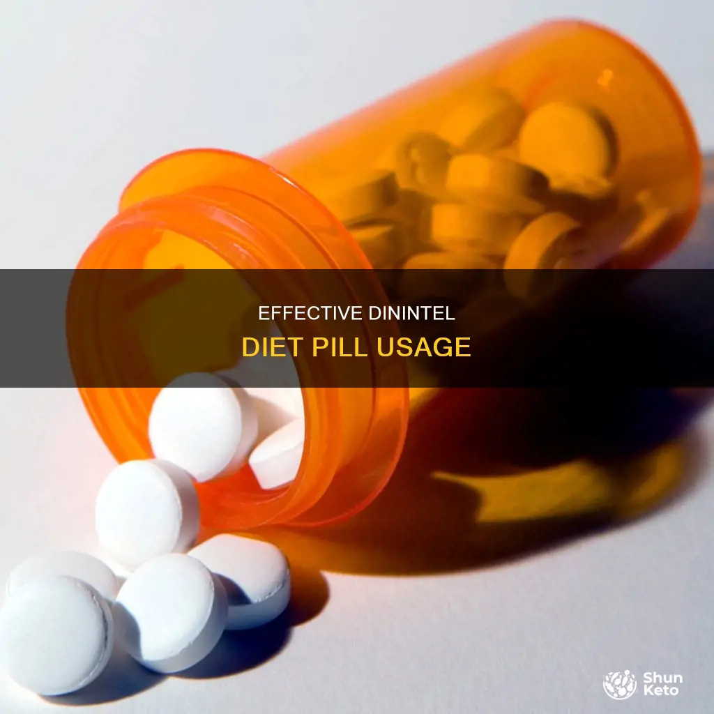 how to take dinintel diet pills