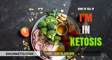 Signs You're in Ketosis: How to Confirm Your Body's Fat-Burning State