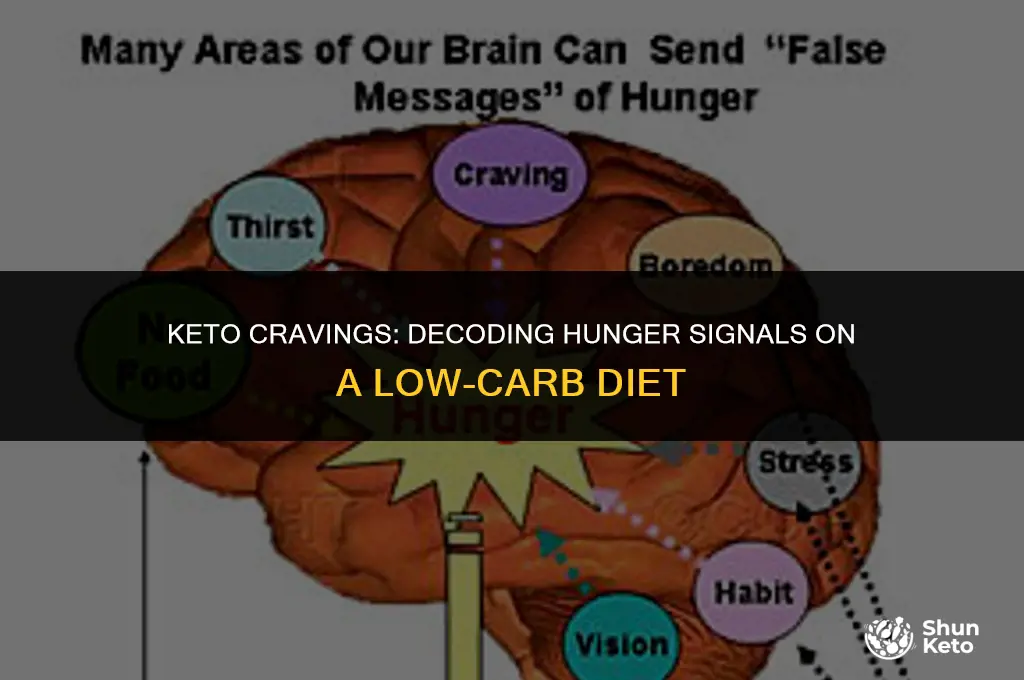 how to tell if you re hungry on keto