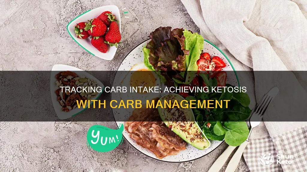 how to tell my carb intake for keto