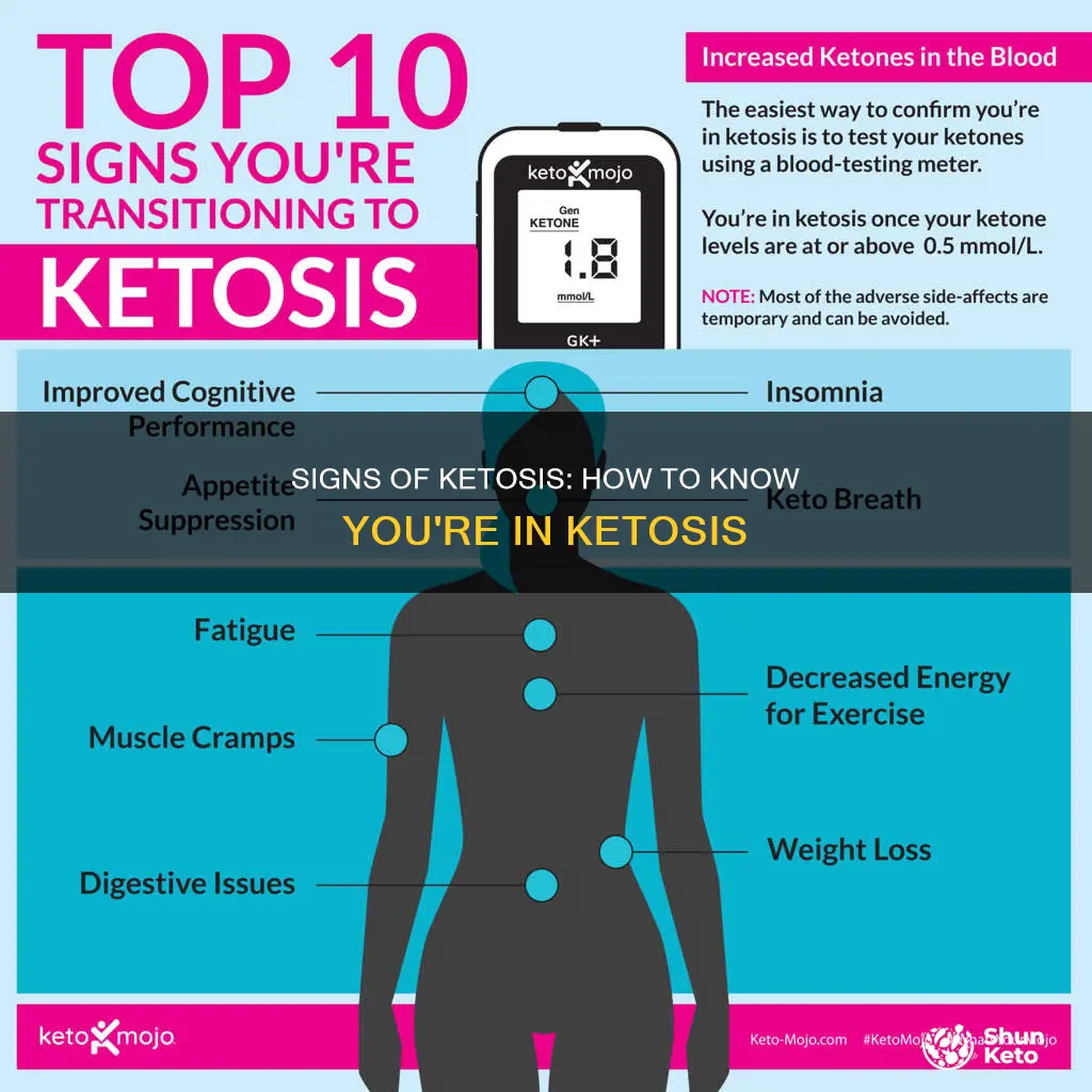 how to tell when keto starts