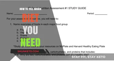 Finding Your Perfect Diet: A Personalized Guide