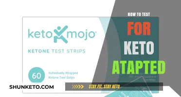Exploring Keto Adaptation: A Comprehensive Guide to Testing Your Metabolic State
