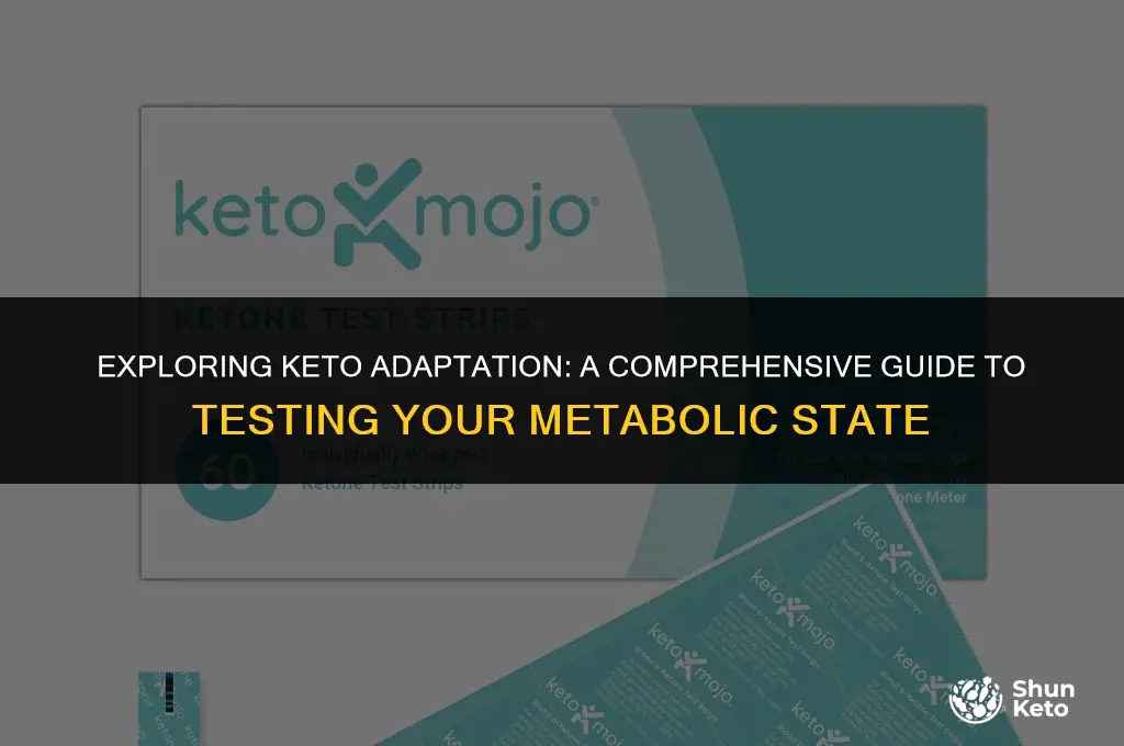 how to test for keto atapted