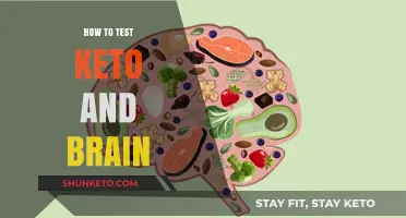 Exploring the Keto-Brain Connection: A Comprehensive Testing Guide